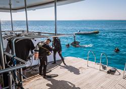 Red Sea Liveaboard Scuba Diving Holiday. Emperor Echo.